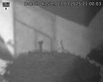 Capi_Dubne_20250323_210003.jpg