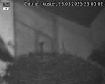 Capi_Dubne_20250323_230002.jpg