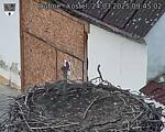 Capi_Dubne_20250324_094502.jpg