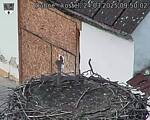 Capi_Dubne_20250324_095002.jpg
