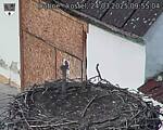 Capi_Dubne_20250324_095504.jpg
