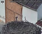 Capi_Dubne_20250324_100503.jpg