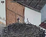 Capi_Dubne_20250324_101003.jpg