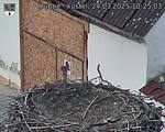 Capi_Dubne_20250324_102503.jpg