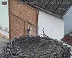 Capi_Dubne_20250324_112503.jpg