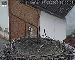 Capi_Dubne_20250324_120003.jpg