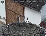Capi_Dubne_20250324_120504.jpg