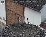 Capi_Dubne_20250324_121003.jpg
