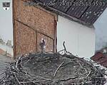 Capi_Dubne_20250324_133503.jpg