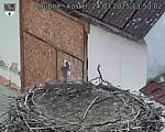 Capi_Dubne_20250324_135002.jpg