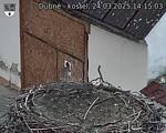 Capi_Dubne_20250324_141503.jpg