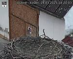 Capi_Dubne_20250324_142003.jpg