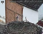 Capi_Dubne_20250324_143503.jpg