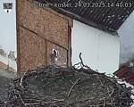 Capi_Dubne_20250324_144003.jpg