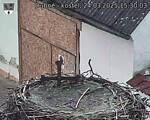 Capi_Dubne_20250324_153003.jpg