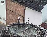 Capi_Dubne_20250324_153503.jpg
