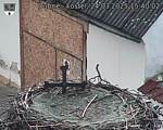 Capi_Dubne_20250324_154002.jpg