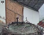 Capi_Dubne_20250324_155003.jpg