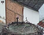 Capi_Dubne_20250324_155503.jpg