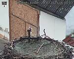 Capi_Dubne_20250324_160003.jpg