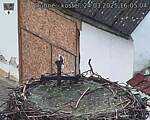 Capi_Dubne_20250324_160504.jpg