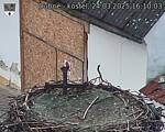 Capi_Dubne_20250324_161003.jpg