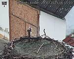 Capi_Dubne_20250324_161503.jpg