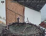 Capi_Dubne_20250324_162503.jpg