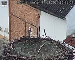 Capi_Dubne_20250324_163503.jpg