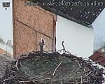 Capi_Dubne_20250324_164003.jpg