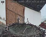 Capi_Dubne_20250324_165003.jpg