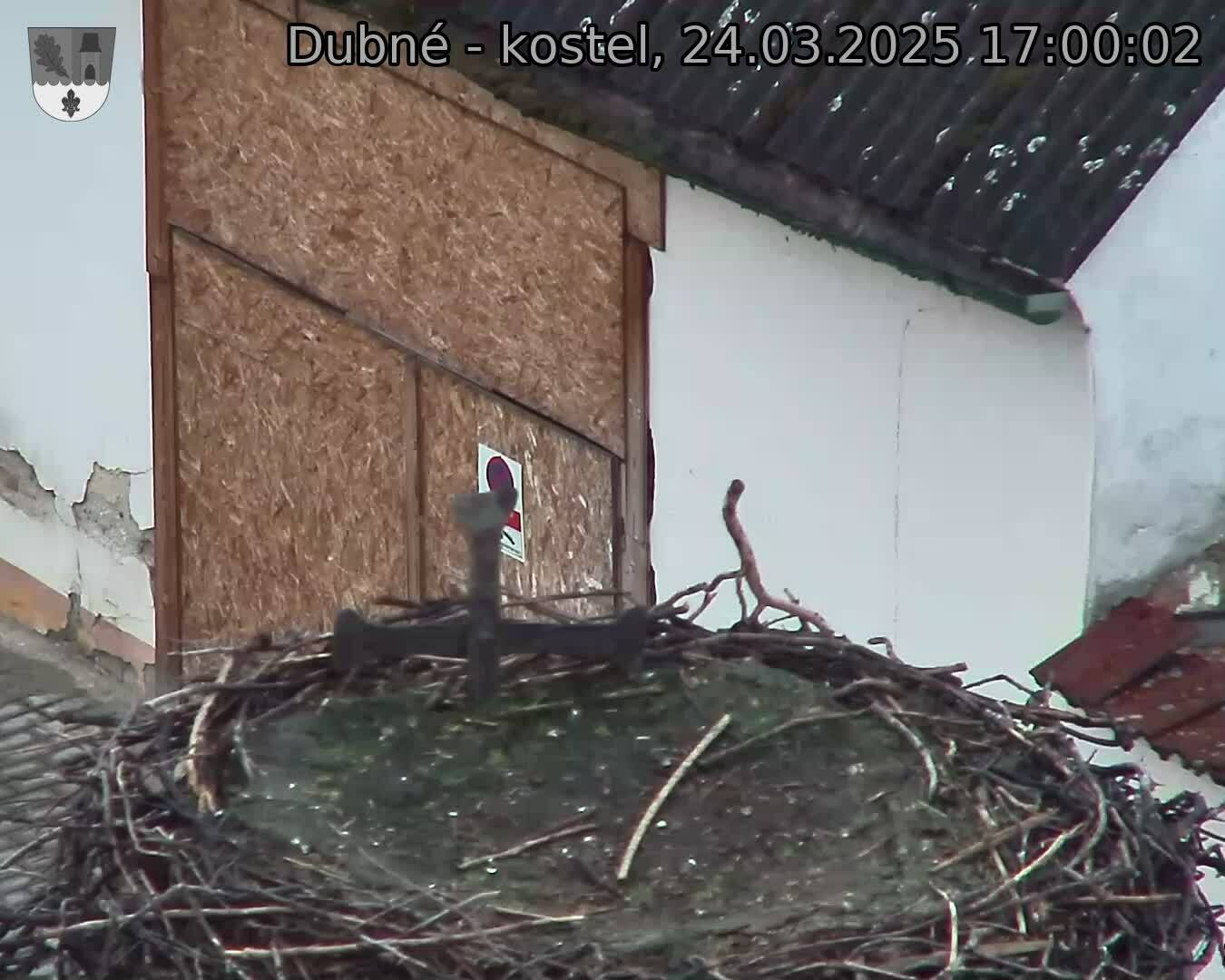 Capi_Dubne_20250324_170002.jpg (1350 x 1080)