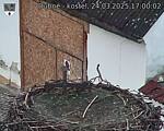 Capi_Dubne_20250324_170002.jpg