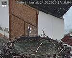 Capi_Dubne_20250324_171004.jpg