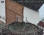 Capi_Dubne_20250324_172003.jpg