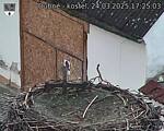 Capi_Dubne_20250324_172503.jpg