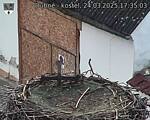 Capi_Dubne_20250324_173503.jpg
