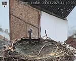 Capi_Dubne_20250324_174003.jpg