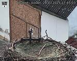 Capi_Dubne_20250324_174503.jpg