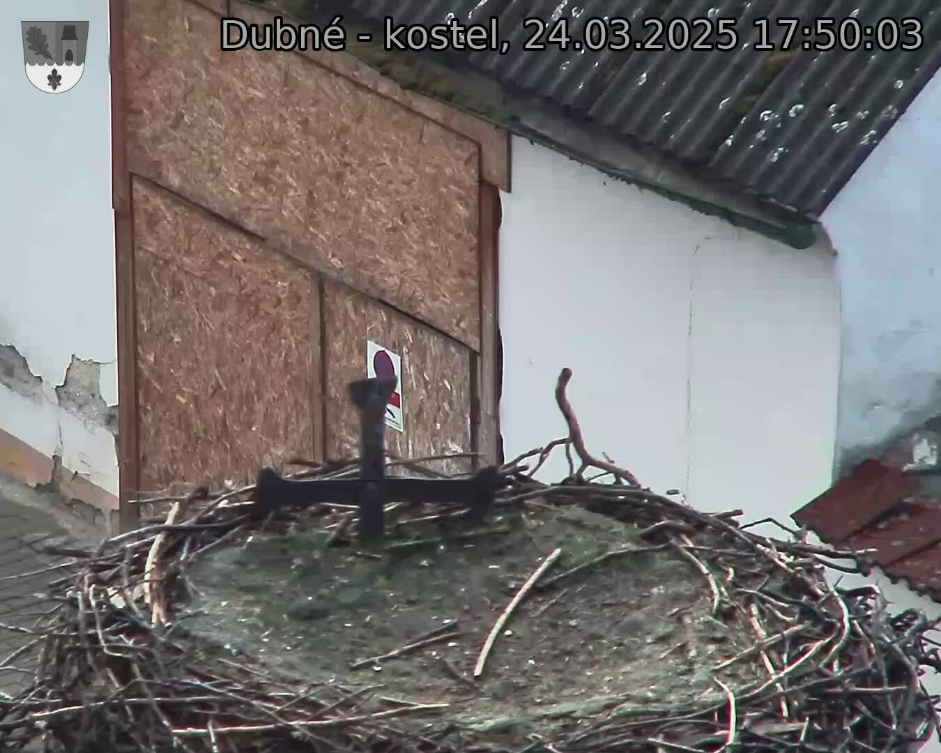 Capi_Dubne_20250324_175003.jpg (1350 x 1080)