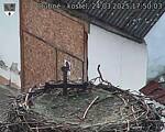 Capi_Dubne_20250324_175003.jpg