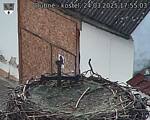 Capi_Dubne_20250324_175503.jpg