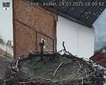 Capi_Dubne_20250324_180002.jpg