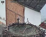 Capi_Dubne_20250324_180503.jpg