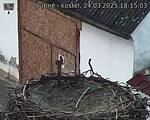 Capi_Dubne_20250324_181503.jpg