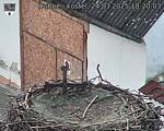 Capi_Dubne_20250324_182003.jpg