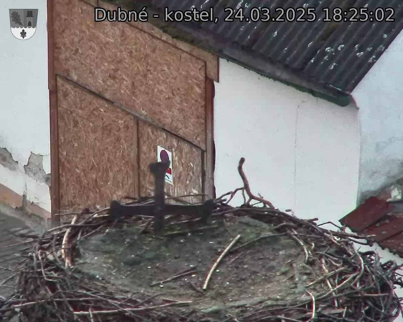 Capi_Dubne_20250324_182502.jpg (1350 x 1080)