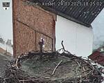 Capi_Dubne_20250324_182502.jpg