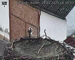 Capi_Dubne_20250324_183003.jpg
