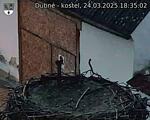 Capi_Dubne_20250324_183502.jpg